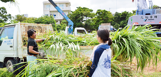 水道局裏で刈り取った草は、沖縄こどもの国で　動物のエサとして使われる
