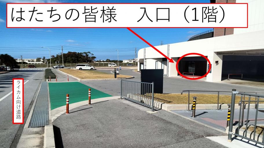 はたちの入り口