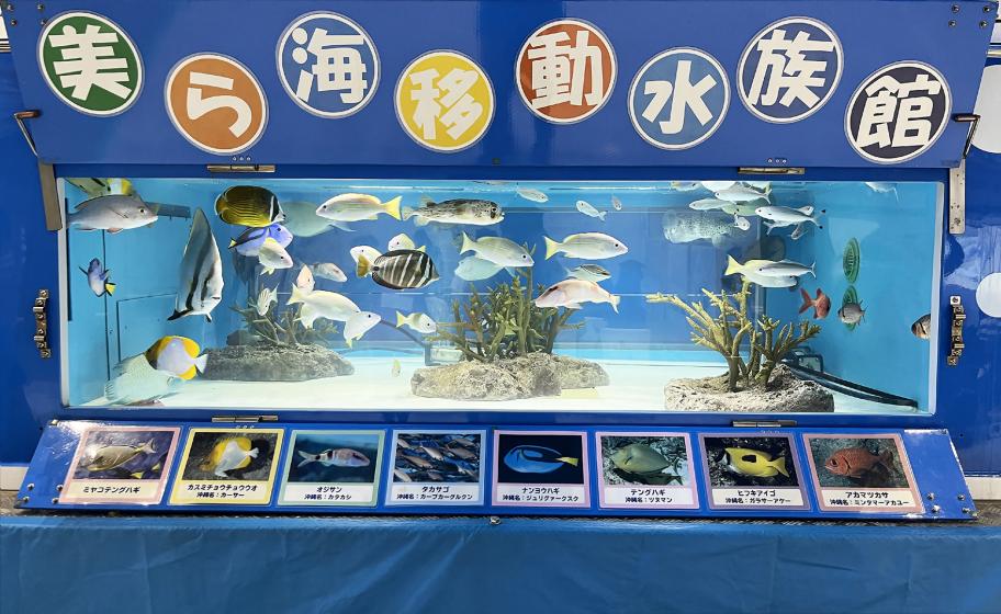 美ら海