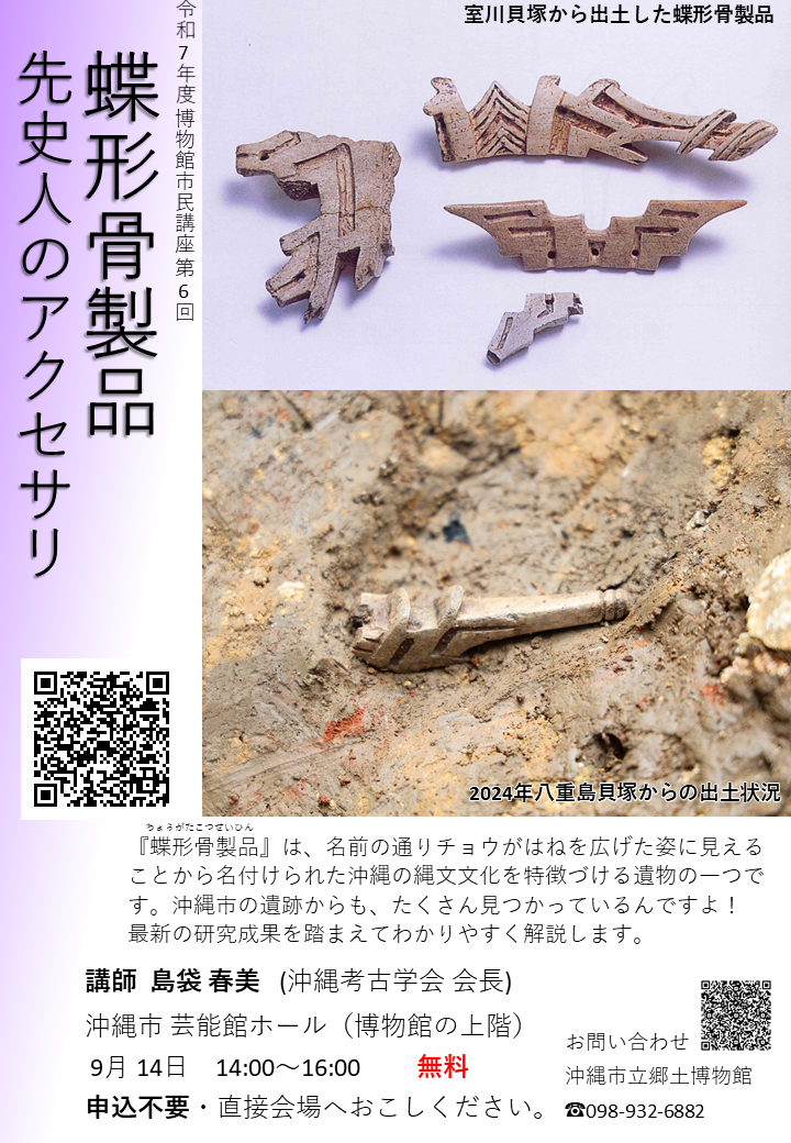 蝶形骨製品チラシ