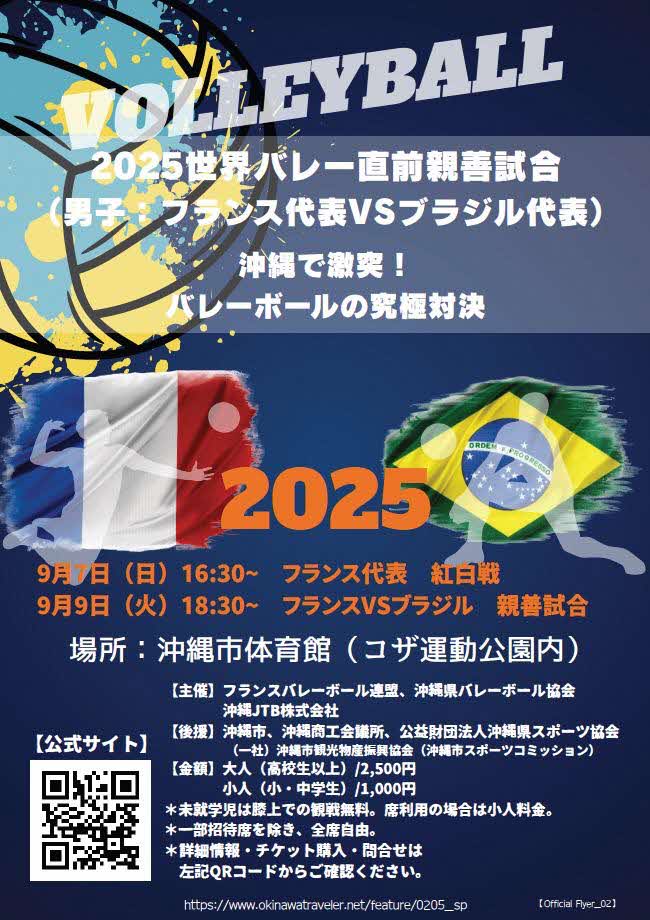 volleyball flier