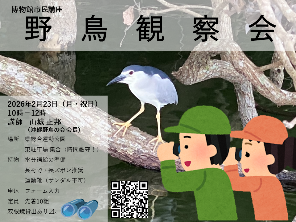 野鳥観察チラシ