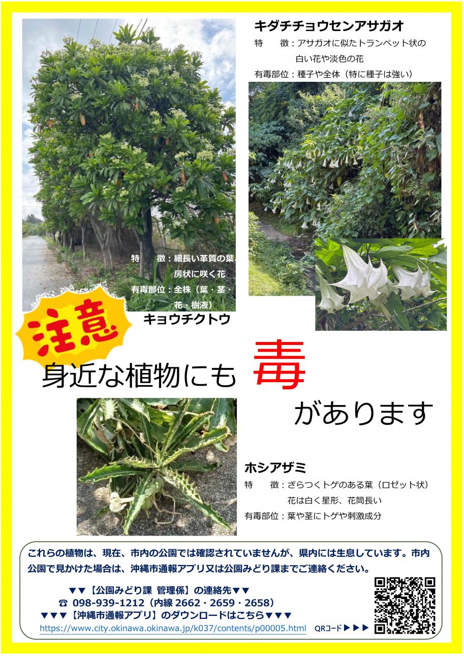 チラシ