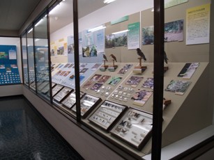 第2展示室の写真