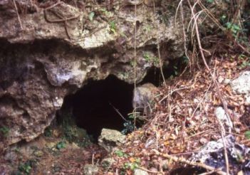 桃原洞穴遺跡の写真