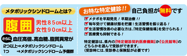 メタボリックシンドロームとは?