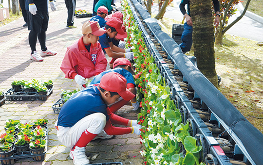 ベゴニアの花約6,500鉢を植樹した