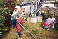 写真